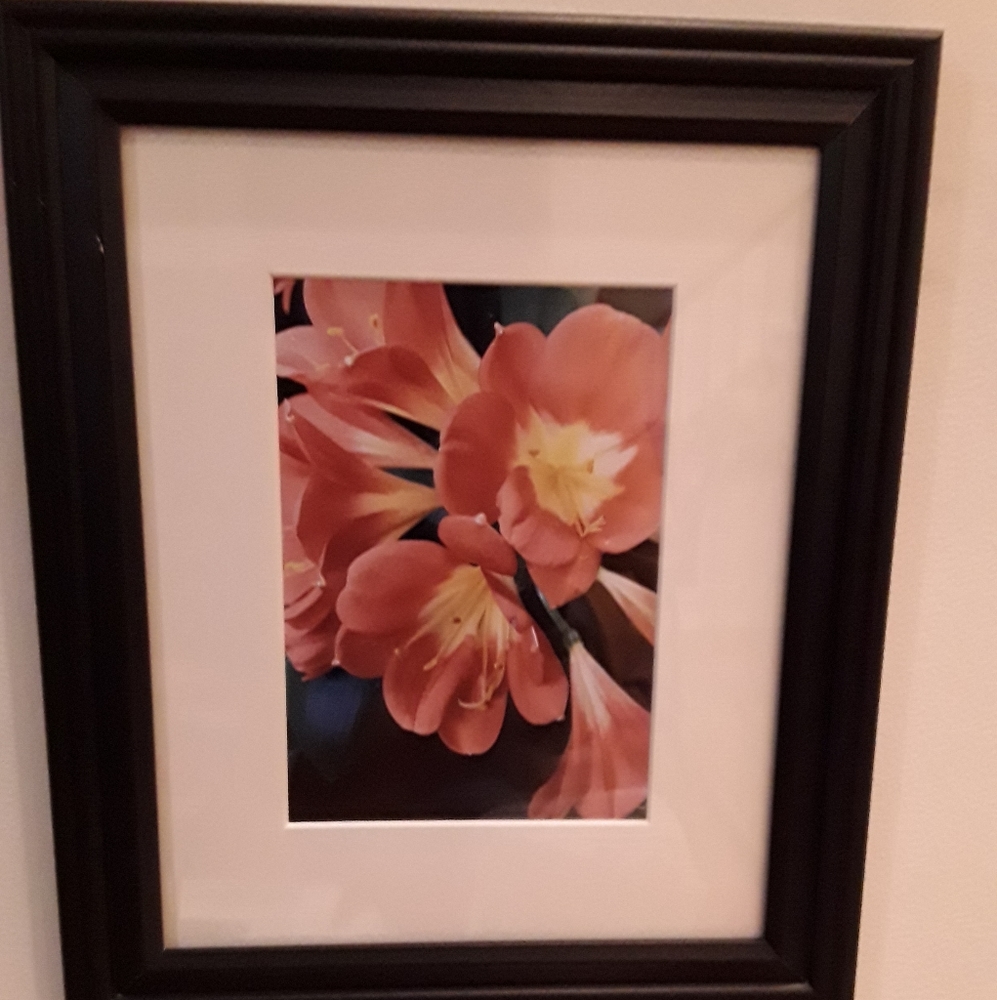 Artisan One of a Kind Art Photo
